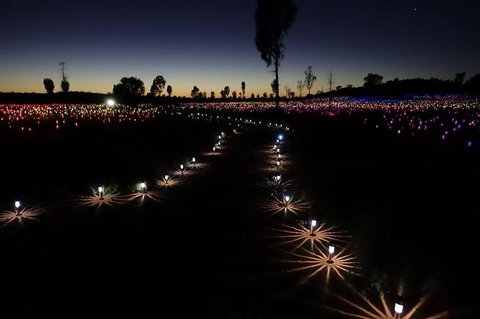 Uluru Field Of Light Sunrise Tour - Taree Accommodation 2