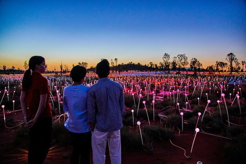 Uluru Field Of Light Sunrise Tour - Taree Accommodation 5
