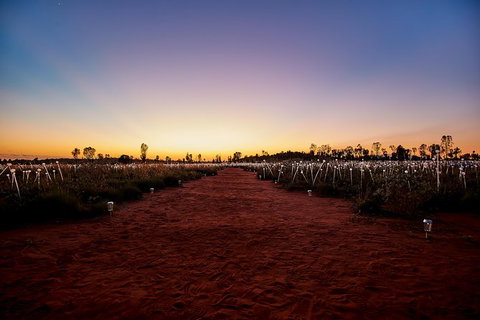 Uluru Field Of Light Sunrise Tour - Taree Accommodation 14