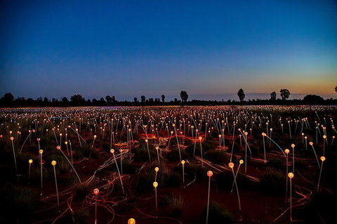 Uluru Field Of Light Sunrise Tour - Taree Accommodation 7