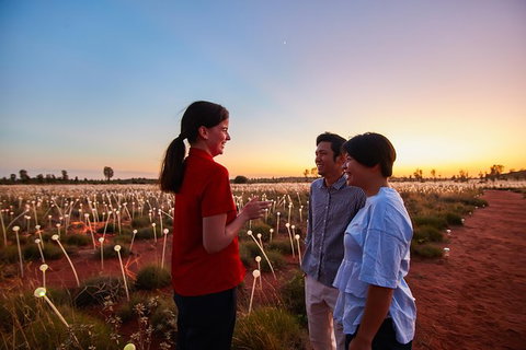 Uluru Field Of Light Sunrise Tour - Taree Accommodation 9