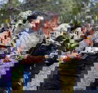 Day Trip with Chef-Led Hunter Valley Gourmet Food and Wine from Sydney - Taree Accommodation