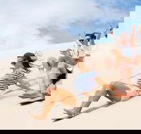 Port Stephens Day Tour with Dolphin Watching Sandboarding  Australian Wildlife - Taree Accommodation