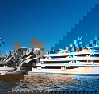 Sydney Harbour Buffet Lunch Cruise - Taree Accommodation