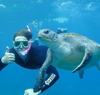 3-Hour Sea Turtle Snorkeling Experience in Byron Bay - Taree Accommodation