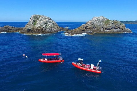 3-Hour Sea Turtle Snorkeling Experience In Byron Bay - Taree Accommodation 8