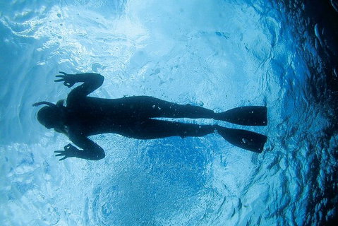 3-Hour Sea Turtle Snorkeling Experience In Byron Bay - Taree Accommodation 9