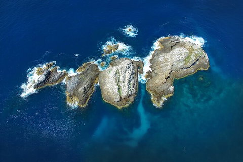 3-Hour Sea Turtle Snorkeling Experience In Byron Bay - Taree Accommodation 7