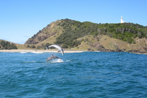 Kayaking With Dolphins In Byron Bay Guided Tour - Taree Accommodation 1