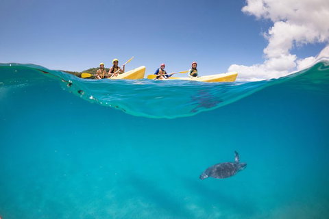 Kayaking With Dolphins In Byron Bay Guided Tour - Taree Accommodation 14