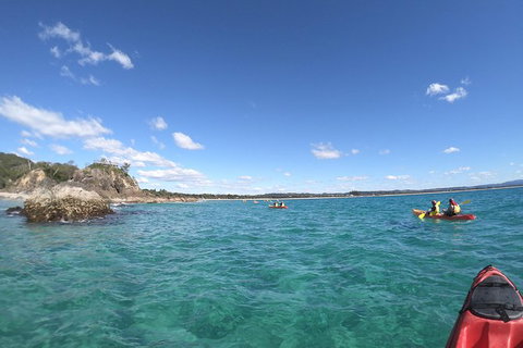Kayaking With Dolphins In Byron Bay Guided Tour - Taree Accommodation 15