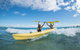 Kayaking With Dolphins In Byron Bay Guided Tour - thumb 16