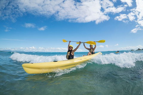 Kayaking With Dolphins In Byron Bay Guided Tour - Taree Accommodation 16