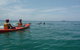 Kayaking With Dolphins In Byron Bay Guided Tour - thumb 10