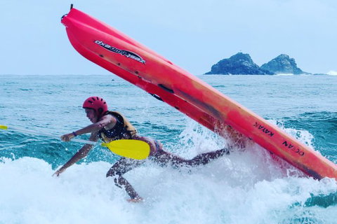 Kayaking With Dolphins In Byron Bay Guided Tour - Taree Accommodation 12