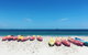 Kayaking With Dolphins In Byron Bay Guided Tour - thumb 20
