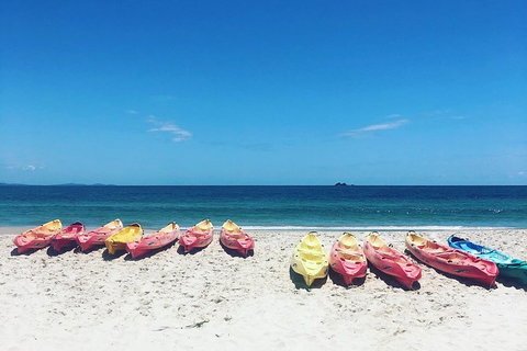 Kayaking With Dolphins In Byron Bay Guided Tour - Taree Accommodation 20