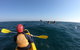Kayaking With Dolphins In Byron Bay Guided Tour - thumb 18
