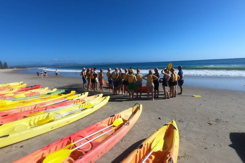 Kayaking With Dolphins In Byron Bay Guided Tour - Taree Accommodation 17
