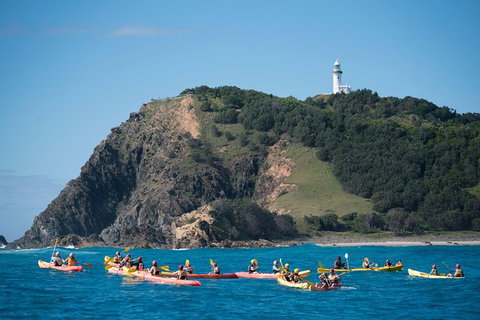 Kayaking With Dolphins In Byron Bay Guided Tour - Taree Accommodation 2
