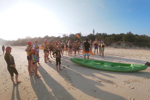 Kayaking With Dolphins In Byron Bay Guided Tour - Taree Accommodation 11