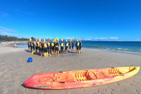 Kayaking With Dolphins In Byron Bay Guided Tour - Taree Accommodation 3