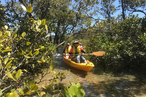 Paddle In Paradise - 4 Hours Double Kayak Hire - Taree Accommodation 1