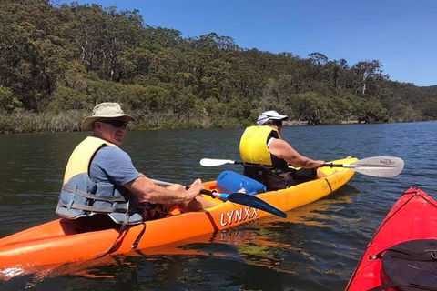 Paddle In Paradise - 4 Hours Double Kayak Hire - Taree Accommodation 4