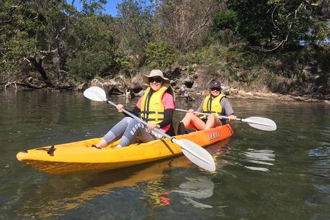 Paddle In Paradise - 4 Hours Double Kayak Hire - Taree Accommodation 6