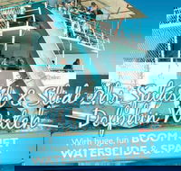 Port Stephens Dolphin Watching Cruise Including Splash and Slide - Taree Accommodation