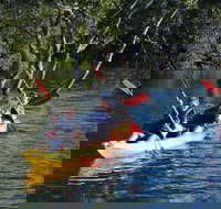 Kayak and SUP Guided Tours - Taree Accommodation