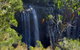 Byron Bay Hinterland Tour Including Rainforest Walk To Minyon Falls - thumb 0