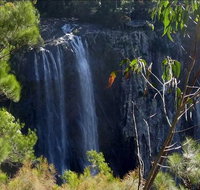 Byron Bay Hinterland Tour Including Rainforest Walk to Minyon Falls - Taree Accommodation