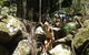 Byron Bay Hinterland Tour Including Rainforest Walk To Minyon Falls - thumb 12