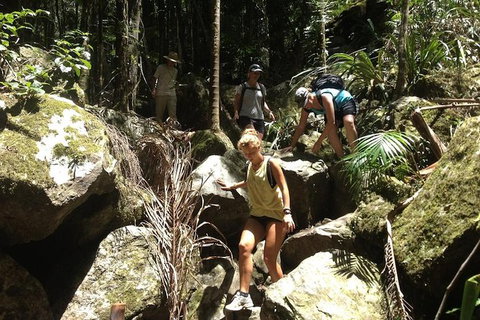Byron Bay Hinterland Tour Including Rainforest Walk To Minyon Falls - Taree Accommodation 12