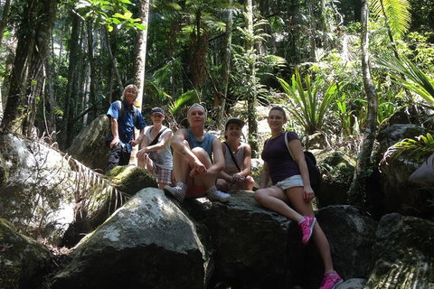 Byron Bay Hinterland Tour Including Rainforest Walk To Minyon Falls - Taree Accommodation 4