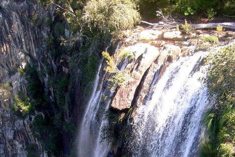 Byron Bay Hinterland Tour Including Rainforest Walk To Minyon Falls - Taree Accommodation 14