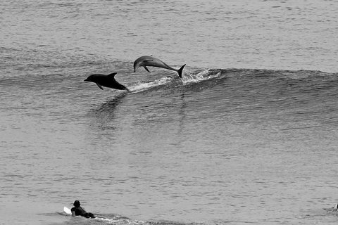 7-Day Byron Bay, Evans Head And Moonee Beach Surf Safari From Brisbane, Gold Coast Or Byron Bay - Taree Accommodation 6