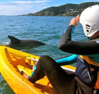 Byron Bay Combo Hinterland Tour Including Minyon Falls and Kayaking with Dolphins - Taree Accommodation
