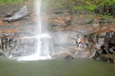 Byron Bay Combo: Hinterland Tour Including Minyon Falls And Kayaking With Dolphins - Taree Accommodation 15