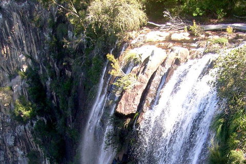 Byron Bay Combo: Hinterland Tour Including Minyon Falls And Kayaking With Dolphins - Taree Accommodation 20