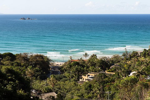 Byron Bay Combo: Hinterland Tour Including Minyon Falls And Kayaking With Dolphins - Taree Accommodation 2