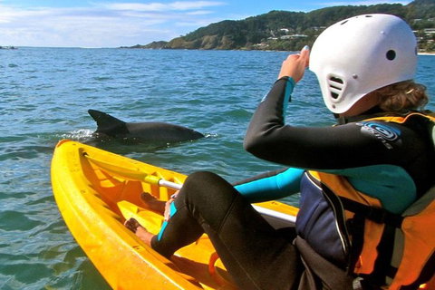 Byron Bay Combo: Hinterland Tour Including Minyon Falls And Kayaking With Dolphins - Taree Accommodation 1