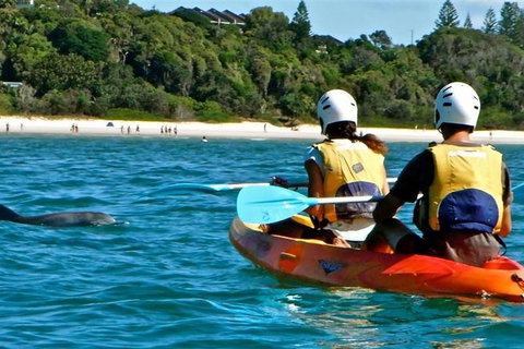 Byron Bay Combo: Hinterland Tour Including Minyon Falls And Kayaking With Dolphins - Taree Accommodation 16