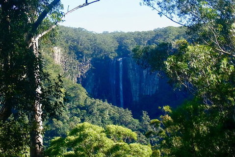Byron Bay Combo: Hinterland Tour Including Minyon Falls And Kayaking With Dolphins - Taree Accommodation 5