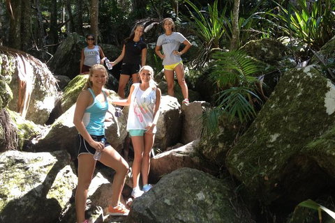 Byron Bay Combo: Hinterland Tour Including Minyon Falls And Kayaking With Dolphins - Taree Accommodation 7