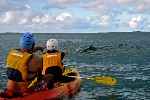 Byron Bay Combo: Hinterland Tour Including Minyon Falls And Kayaking With Dolphins - Taree Accommodation 18