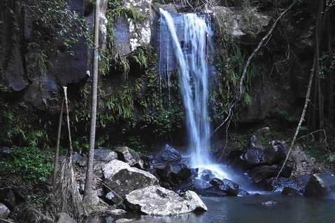 Personal, Private Chauffeur Driven Guided Tours - Taree Accommodation 1