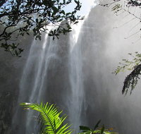 Minyon Falls Rainforest Walk - Taree Accommodation