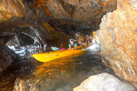 Whale Watching By Sea Kayak In Batemans Bay - Taree Accommodation 4